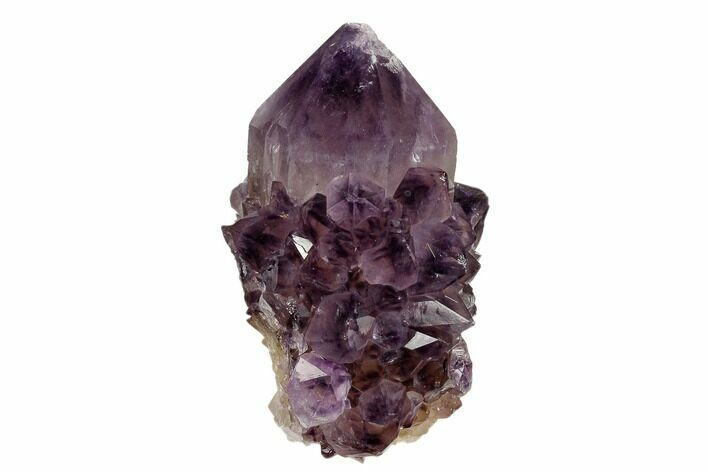 Dark, Amethyst Cactus Crystal - South Africa #115389
